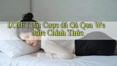 1xbet  đặt cược đá gà qua website chính thức
