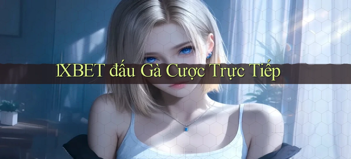 1xbet  đấu gà cược trực tiếp