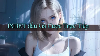 1xbet  đấu gà cược trực tiếp