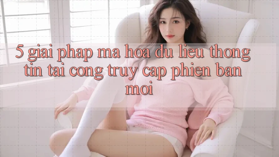 5. Giải Pháp Mã hóa dữ liệu Thông Tin Tại Cổng Truy Cập Phiên bản mới