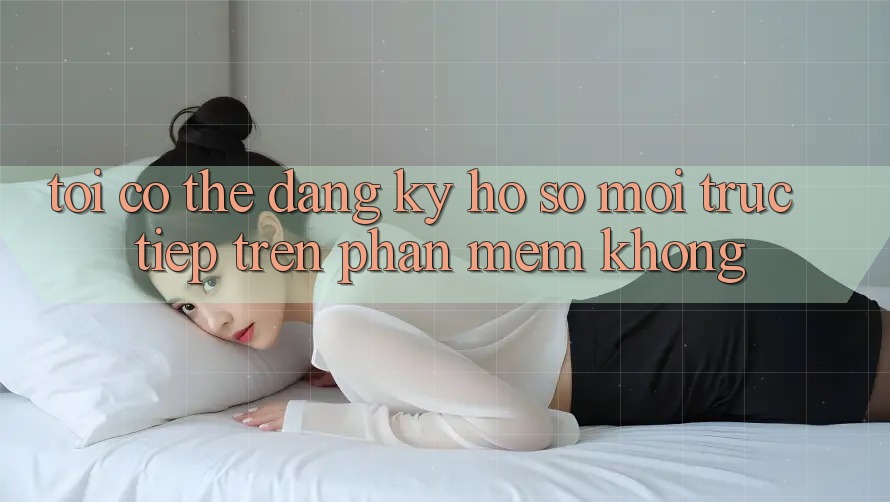 Tôi có thể đăng ký hồ sơ mới trực tiếp trên phần mềm không? Tôi có thể đăng ký hồ sơ mới trực tiếp trên phần mềm không?