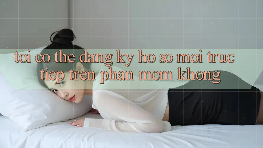 Tôi có thể đăng ký hồ sơ mới trực tiếp trên phần mềm không? Tôi có thể đăng ký hồ sơ mới trực tiếp trên phần mềm không?