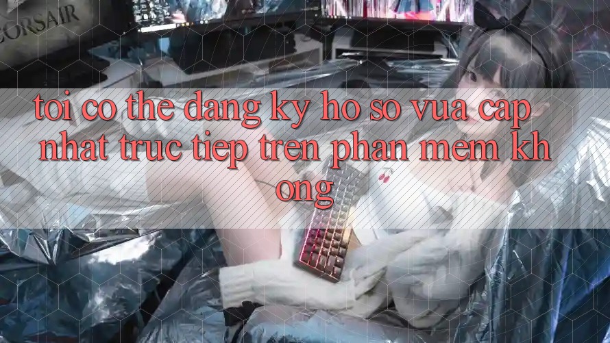 Tôi có thể đăng ký hồ sơ vừa cập nhật trực tiếp trên phần mềm không? Tôi có thể đăng ký hồ sơ vừa cập nhật trực tiếp trên phần mềm không?