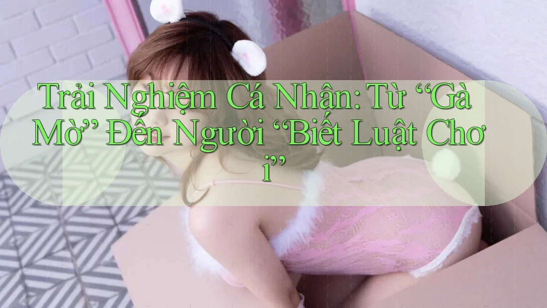 Trải Nghiệm Cá Nhân: Từ “Gà Mờ” Đến Người “Biết Luật Chơi” Trải Nghiệm Cá Nhân: Từ “Gà Mờ” Đến Người “Biết Luật Chơi”